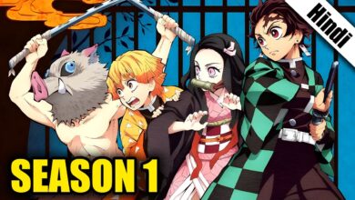 Demon Slayer (Kimetsu no Yaiba) Season 1 | Hindi Dub HEVC